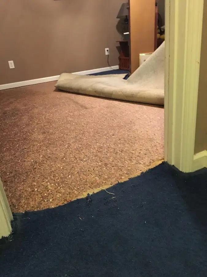 Carpet pad removal revealing water damage during Drying & Dehumidification in Ashland